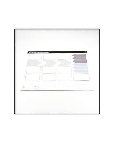 Sous-mains - Analyse Métacognitive SRC