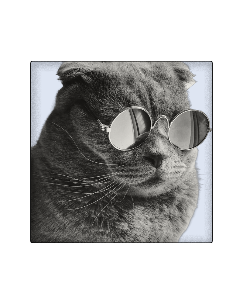 La respiration du chat calme